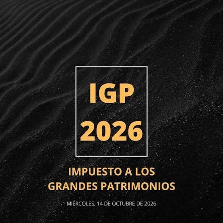 Portada de Impuesto a los grandes patrimonios Actualizado